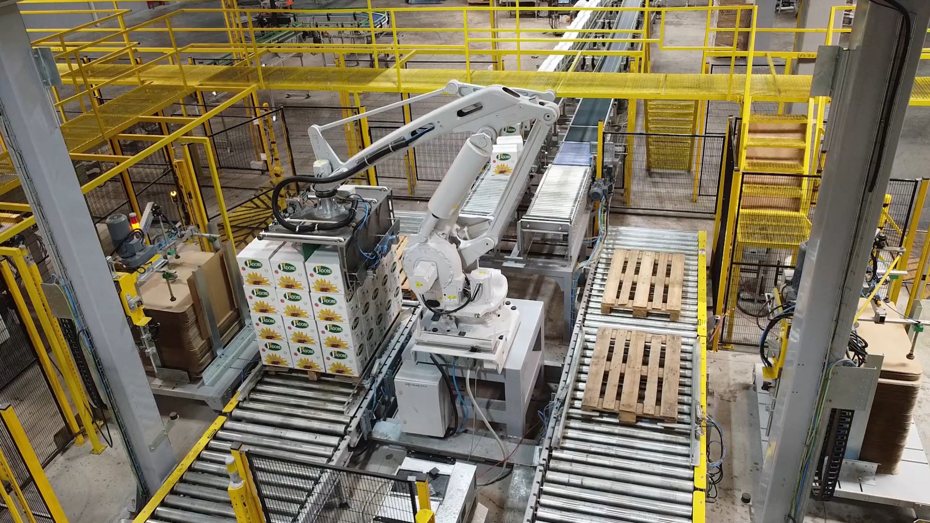 Çok hatlı robotik paletleme otomasyonu